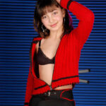Maxwells_Sylvia_2   1590