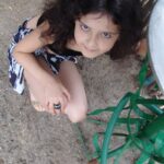 WebeWeb_Penelope_2   3080